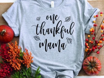 One Thankful Mama Pumpkin T-Shirt