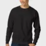 Crewneck Sweatshirt (+$20.00)