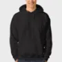 Hooded Sweatshirt (+$27.00)