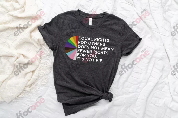 Equal rights for others does not mean fewer rights for you shirt